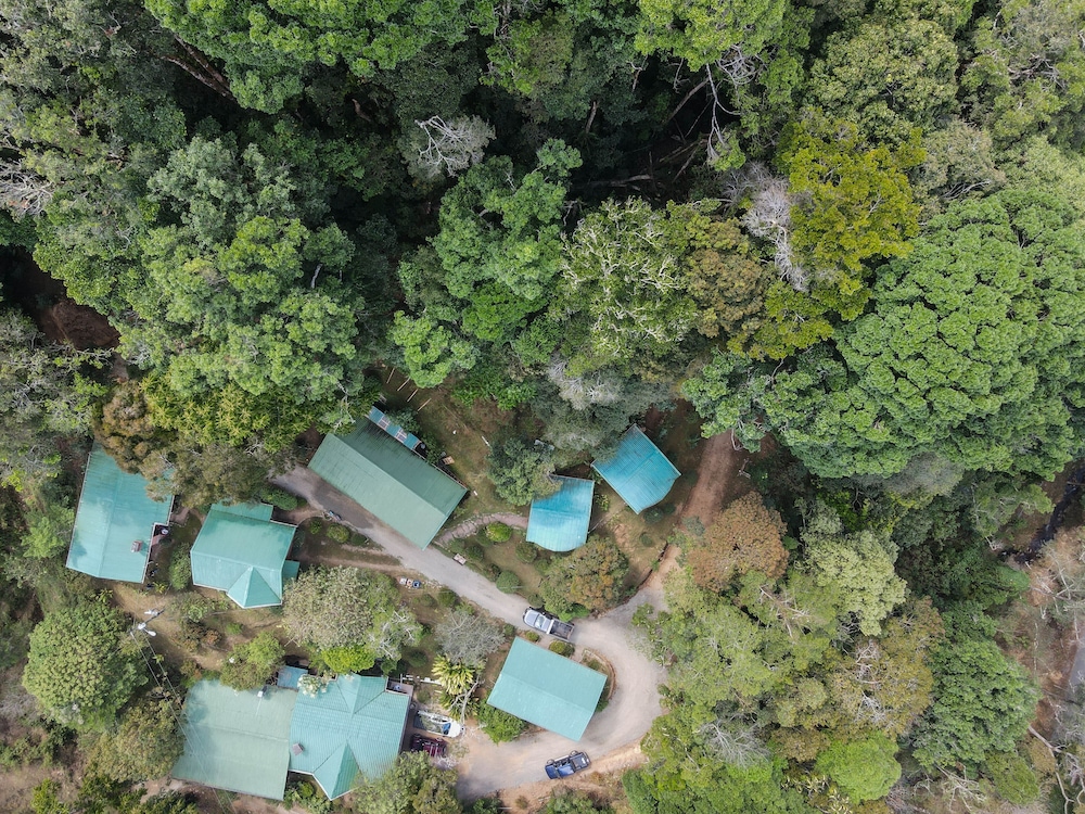 Cedrela Ecolodge