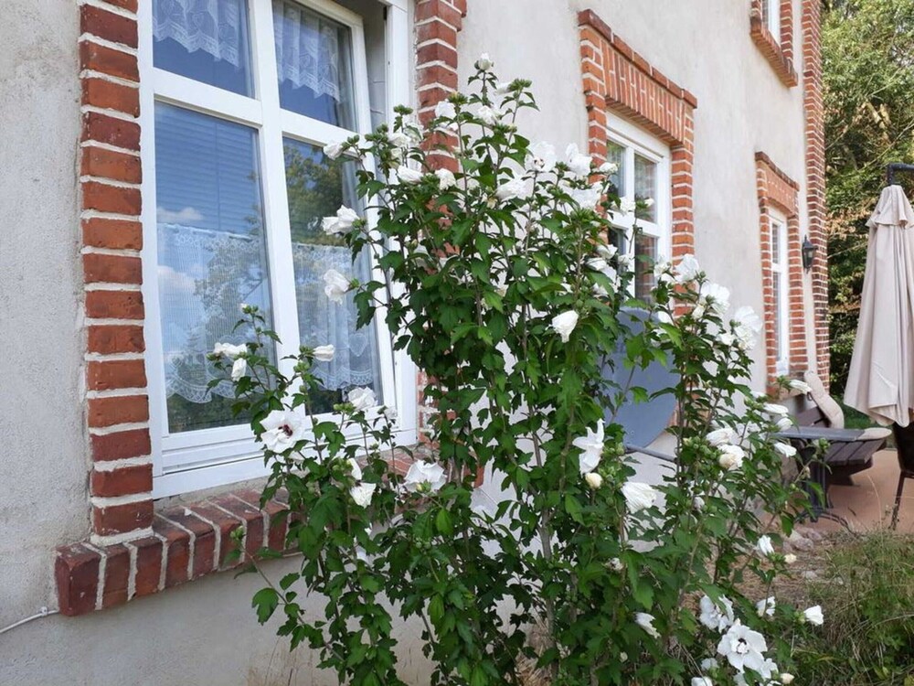 Photo 34