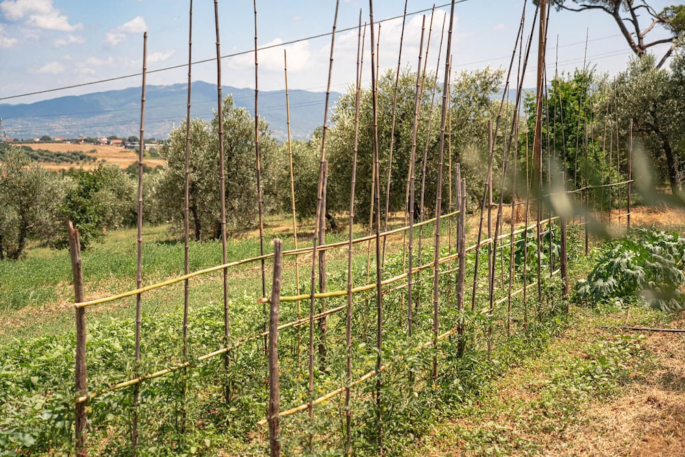 Agriturismo il Querciolo, Billede 63