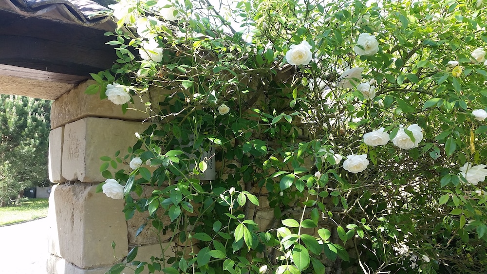 Photo 47