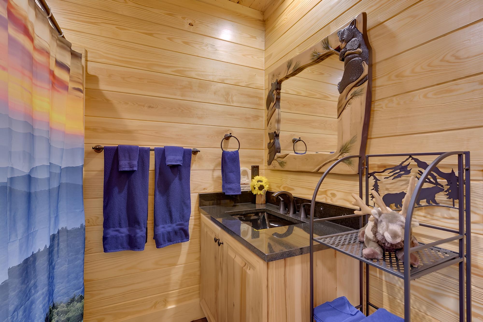 Dtwn Maggie Valley Cabin Near Blue Ridge Parkway! view 2