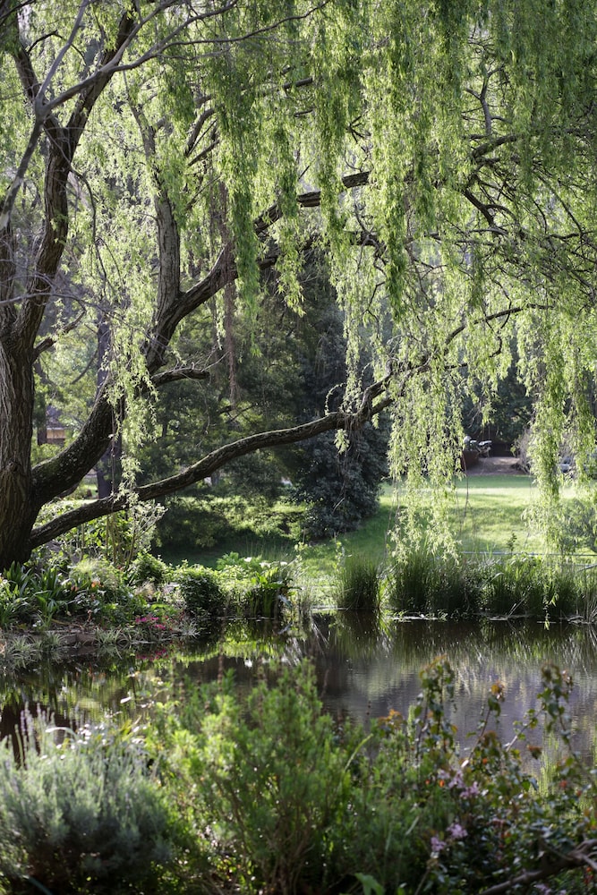 Waterland