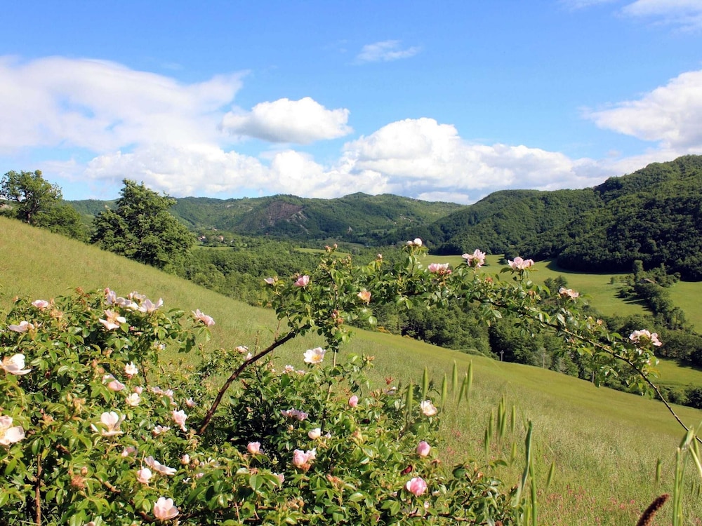 Apartment in Pennabili on Tuscan Border near Nature Park view 2