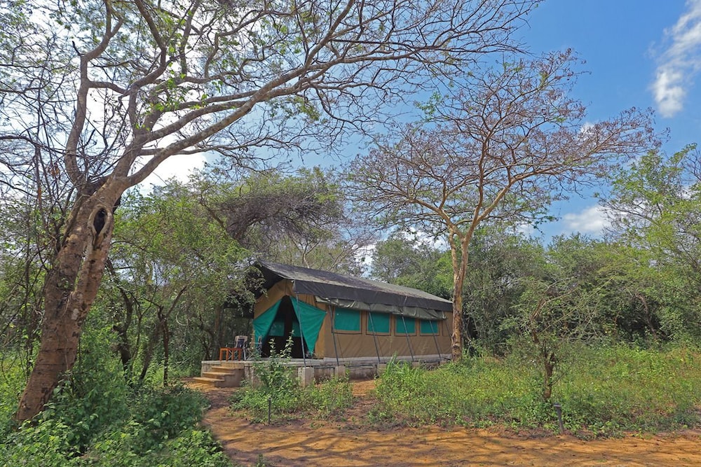 Wilpattu Safari Camp - Campground