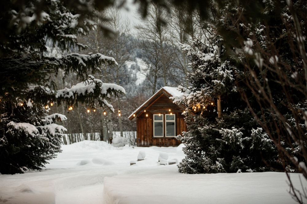Moose Creek Ranch