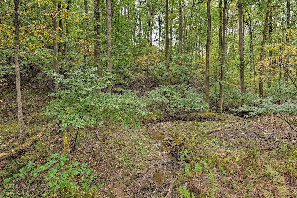 Forested Couples Retreat: 20 Miles to Baltimore! view 5