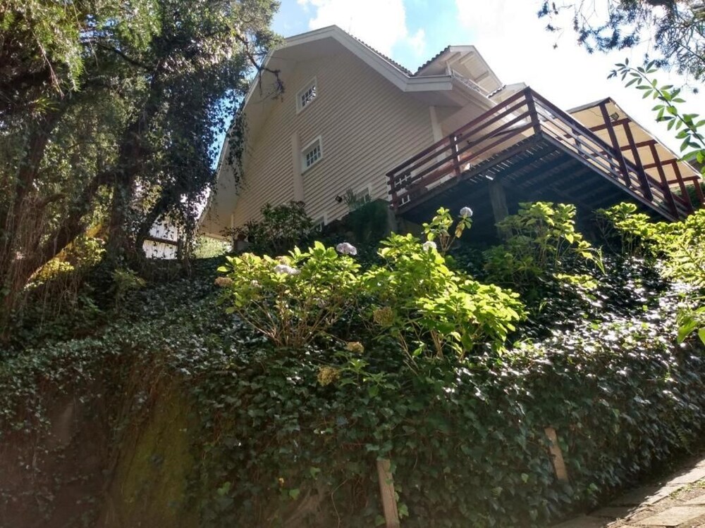 Forest Pine Inn