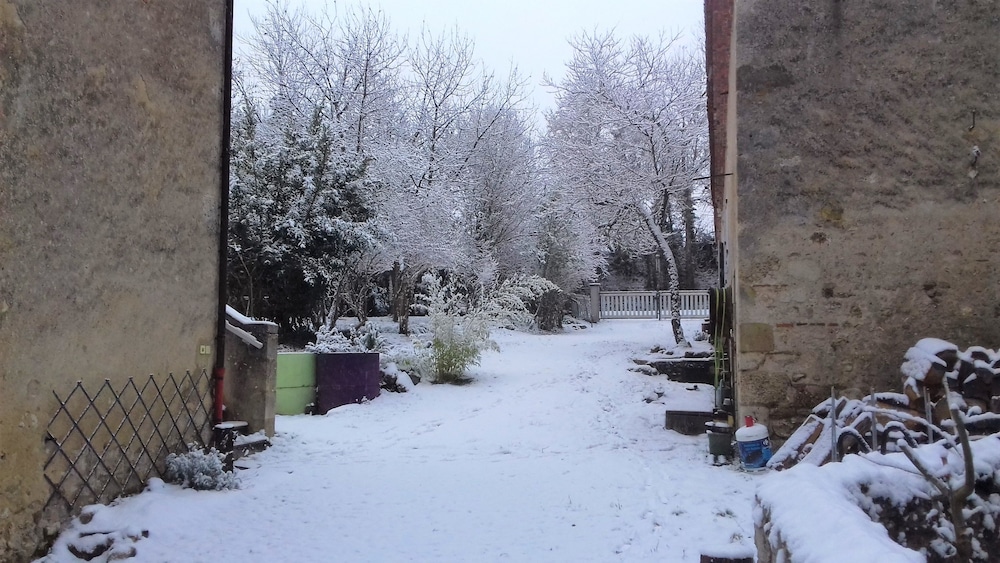 Photo 12
