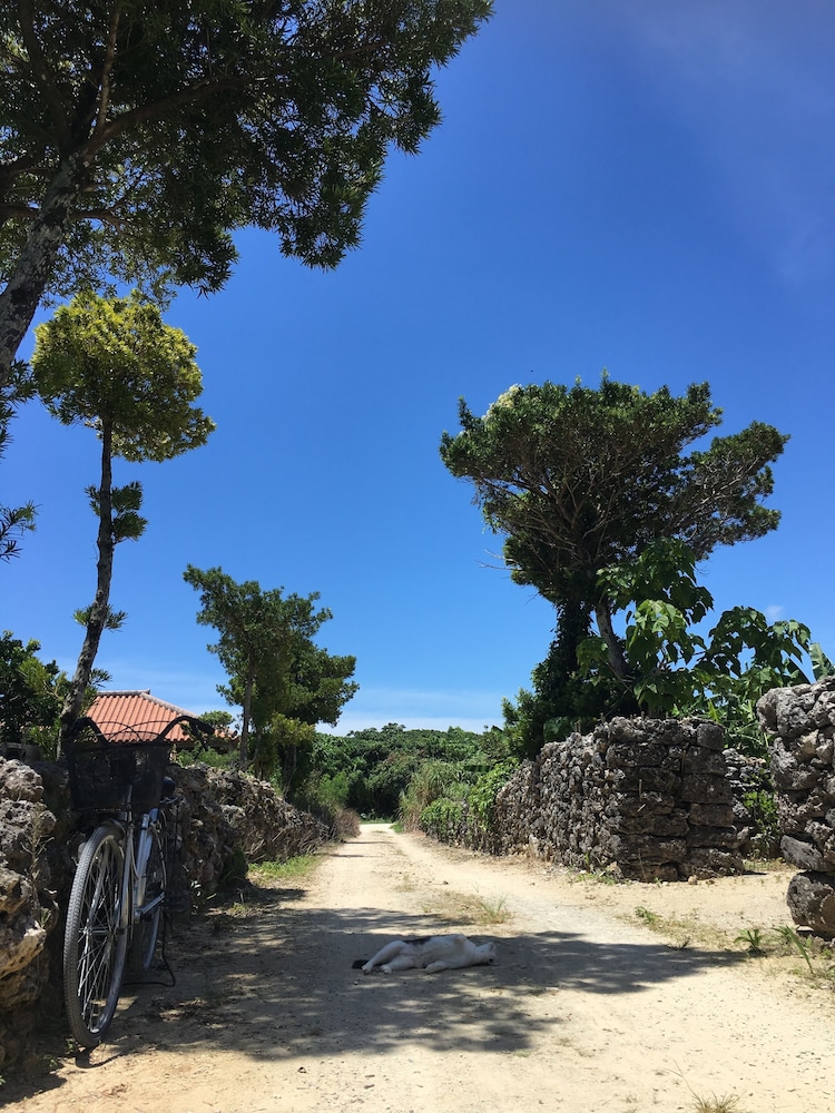 Taketomijima Guesthouse & Jetaime - Hostel