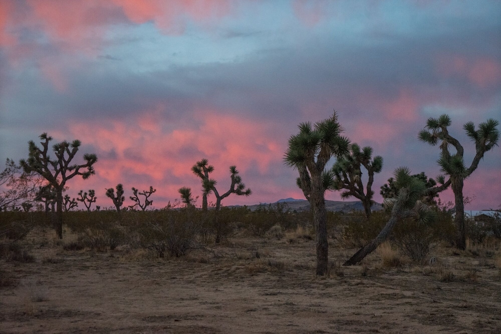 Mojave Mesa - Desert Views & Desert Style 1 Bedroom Home by RedAwning