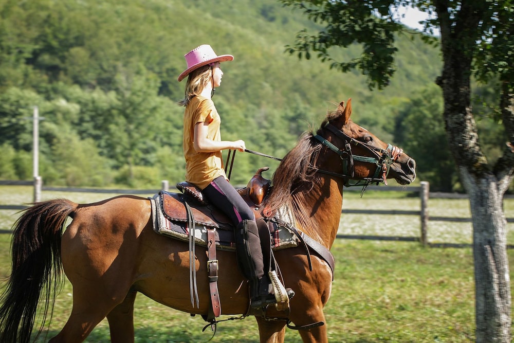 Linden Tree Retreat & Ranch