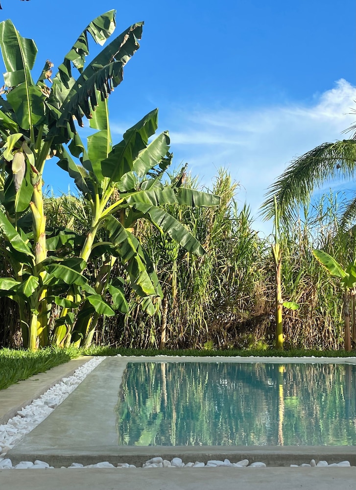 Luxury Lions Villas Zanzibar - with Private Cook&Infinity Pools
