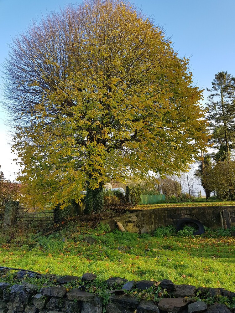 Oldfarm view 2