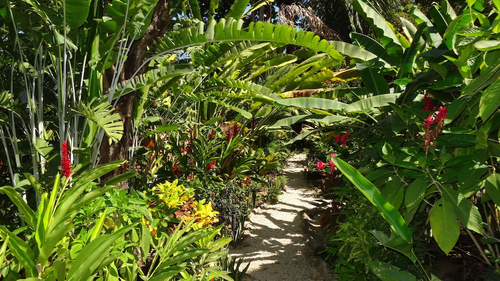 Hotel El Pequeño Gecko Verde