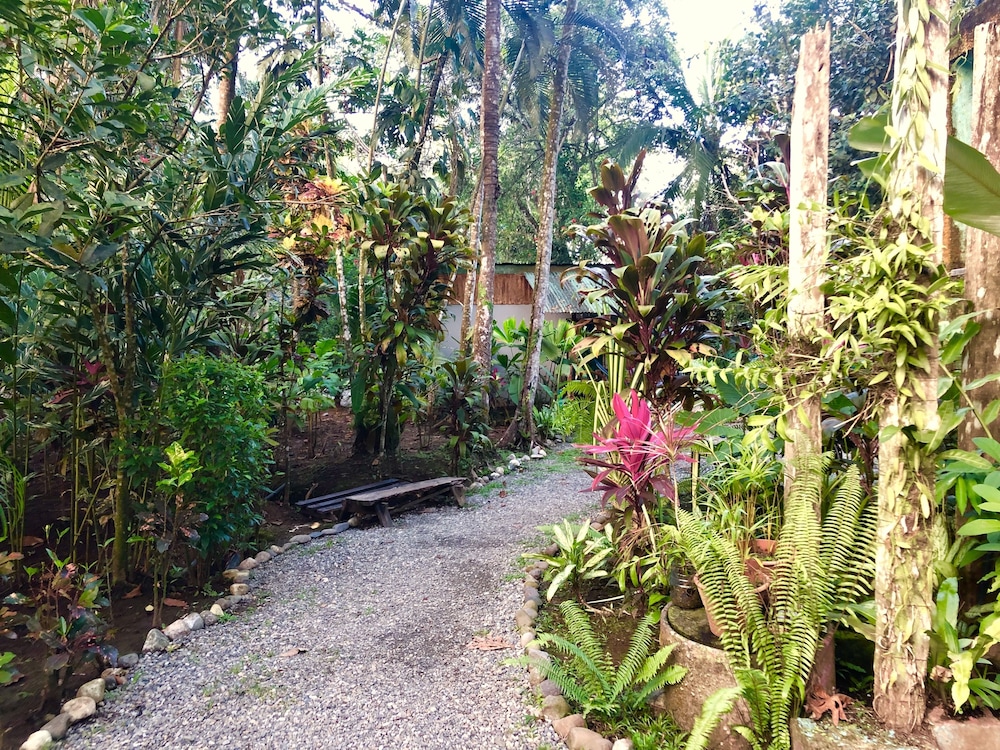 Photo 49