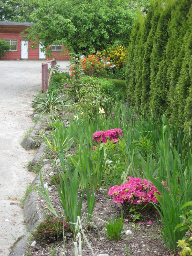 Photo 18