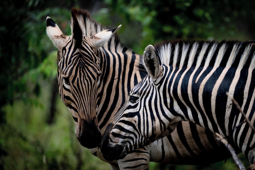 Xidulu Safari Lodge