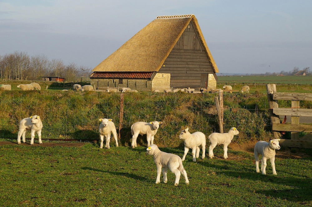 Luxury Villa in Texel view 3