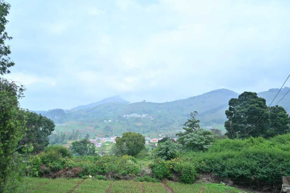 Hotel Shree Homestay