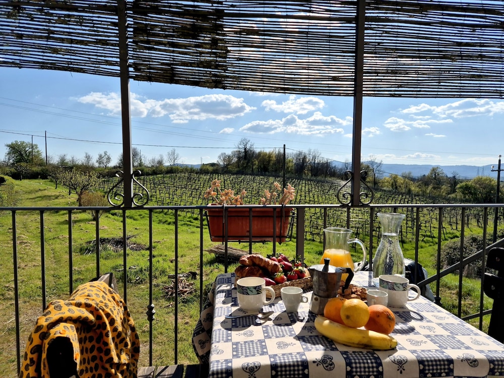 Il Pino Bioagricoltura