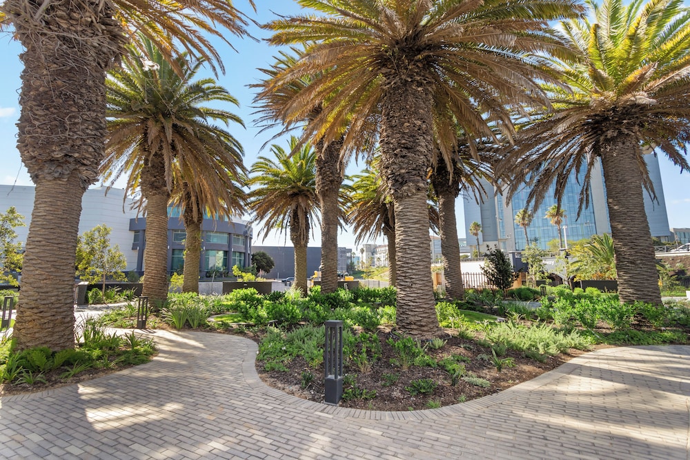 Nine Palms 211
