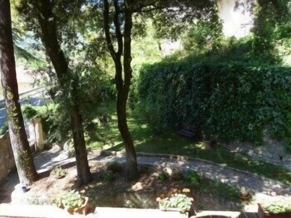 Photo 31