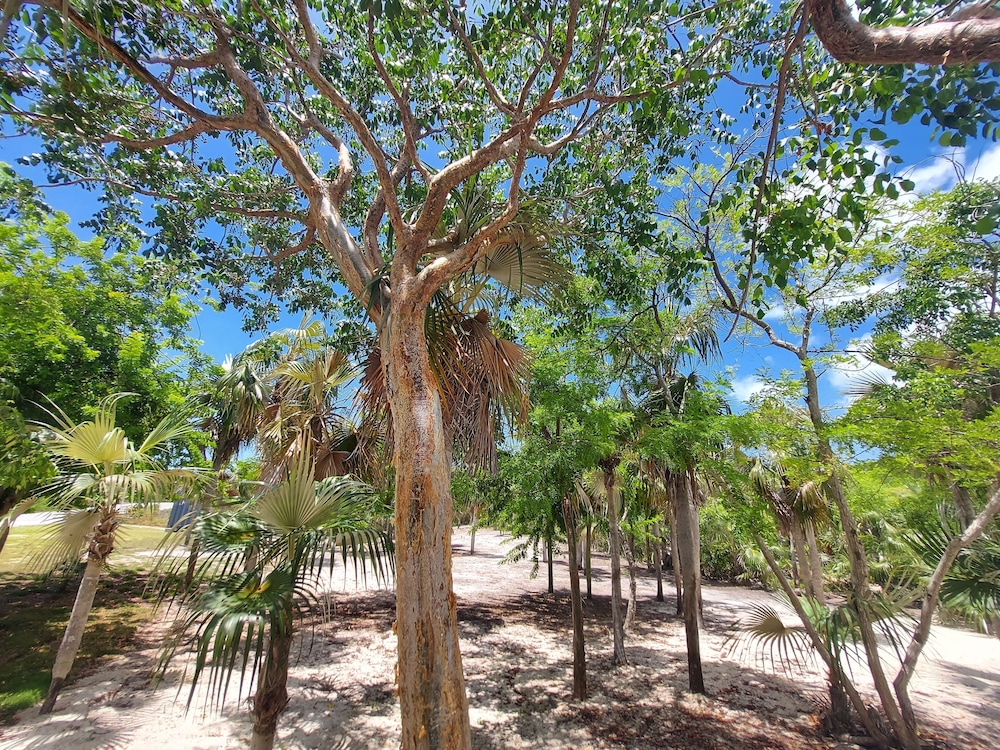 Silver Palms - Brand New Designer Home On Banks Road 2 Bedroom Home