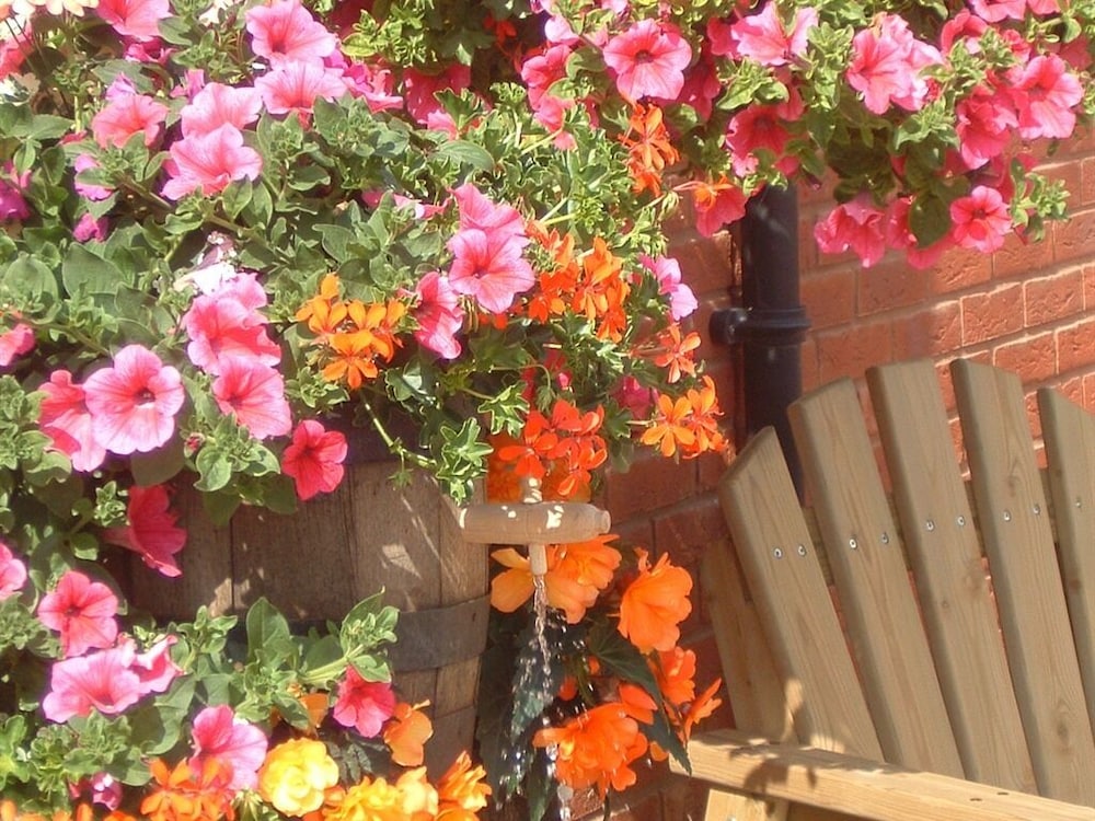 Photo 22