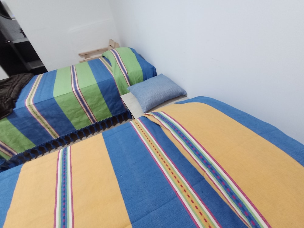 Iguana Co-living