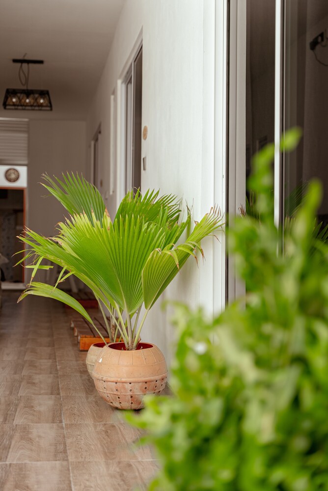 Holiday Crib photo 3