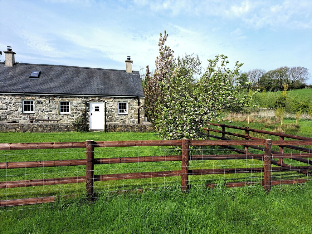Photo 26