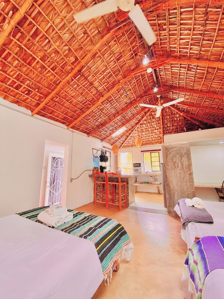 Perro Surfero Hotel Boutique - Todos Santos, BCS