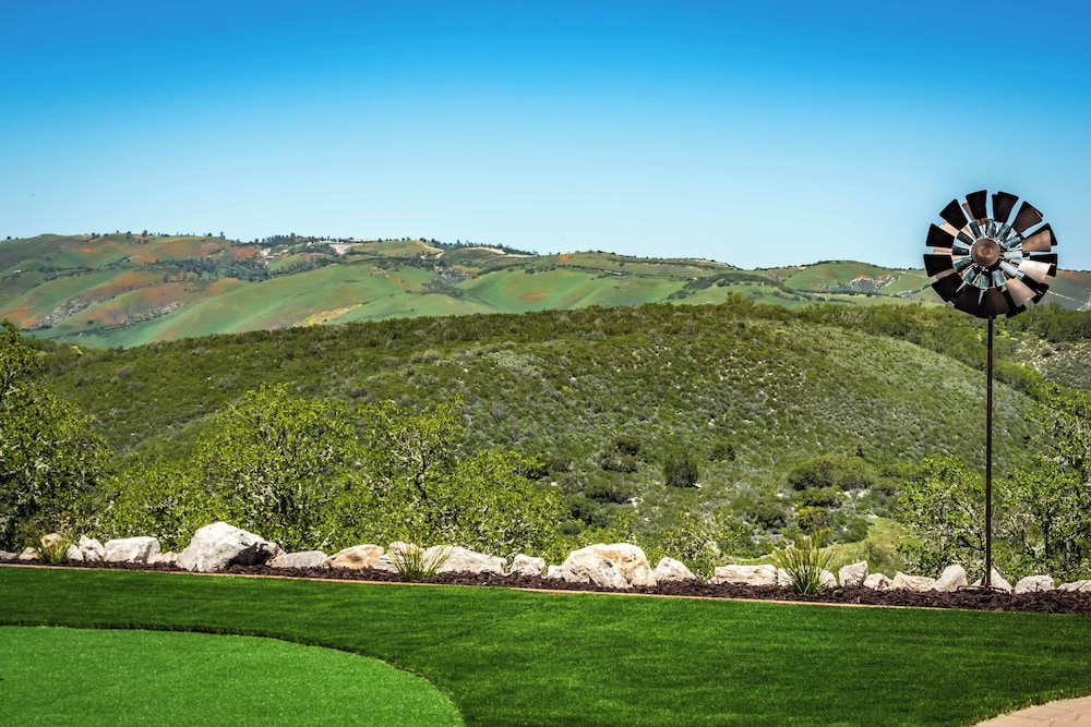 Blue Oak Oasis