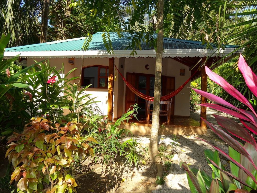 Hotel El Pequeño Gecko Verde