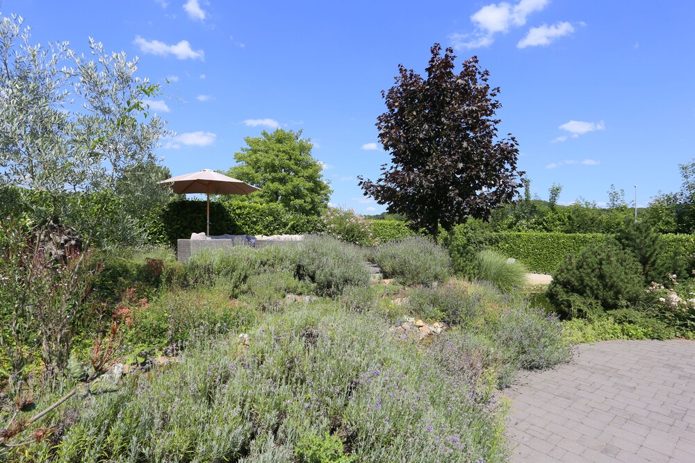 Photo 45