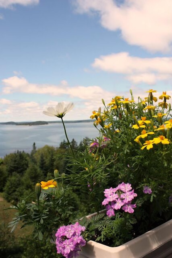 Bluff House Inn