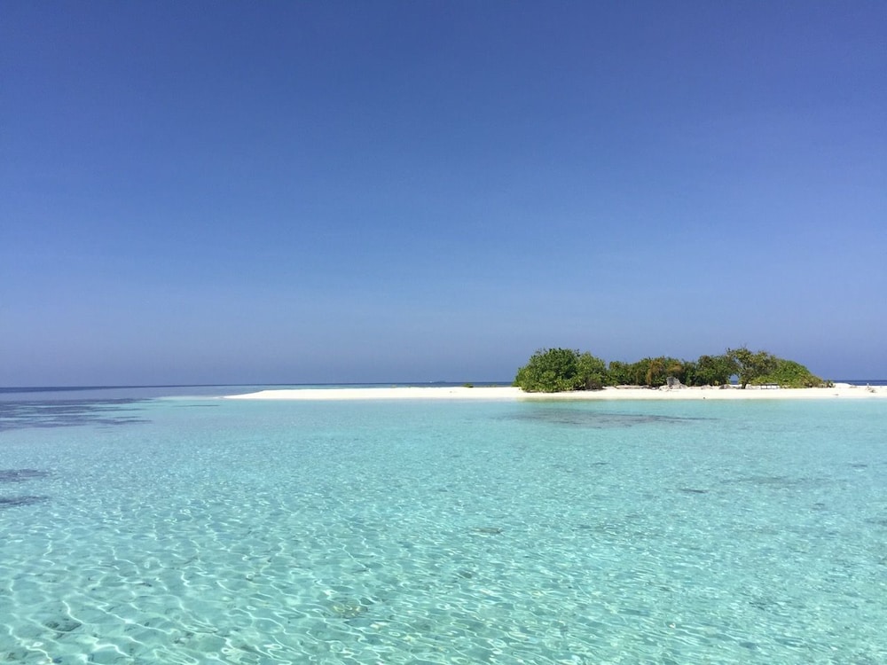 Local Travel Beach
