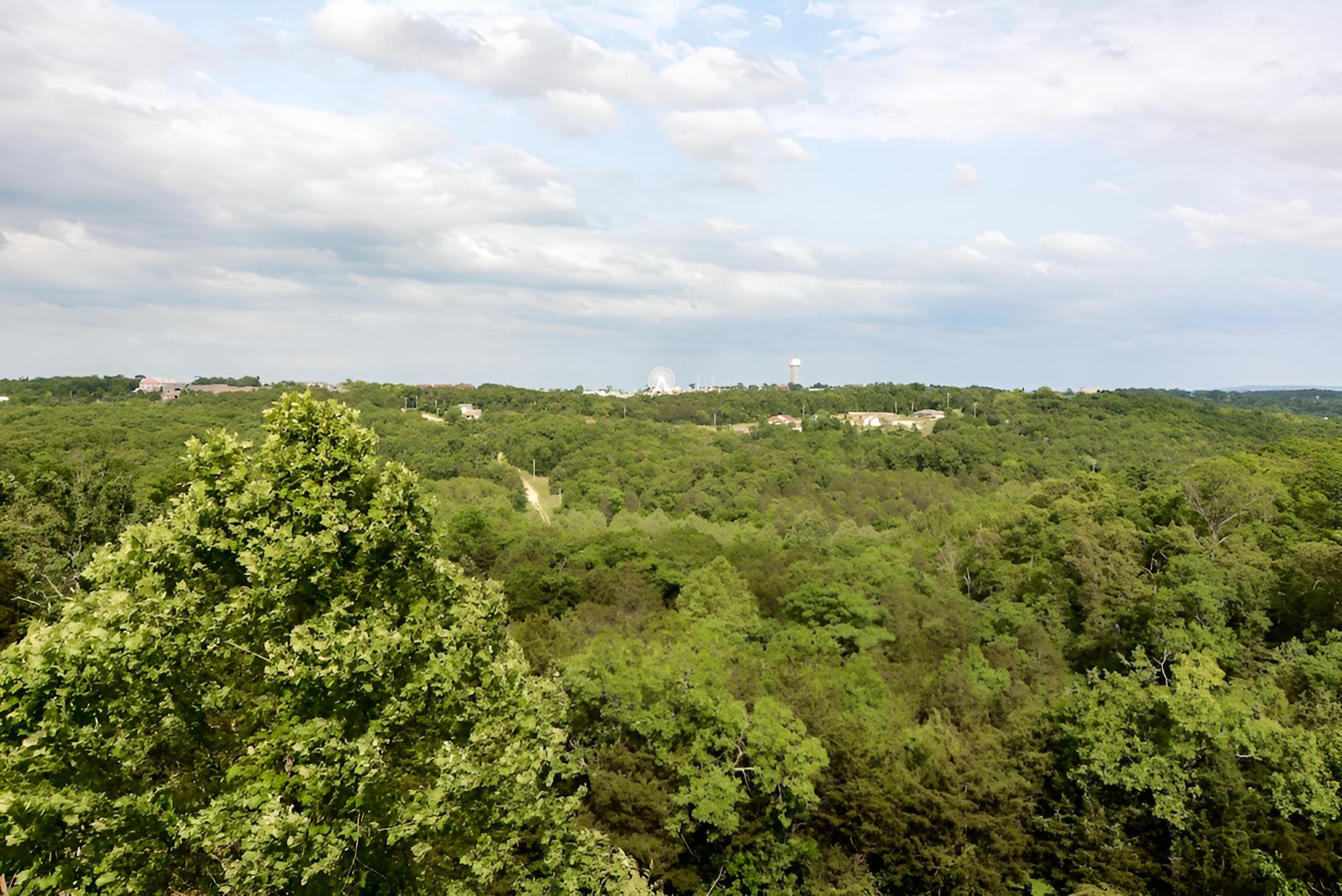 Wine Cellar view 5