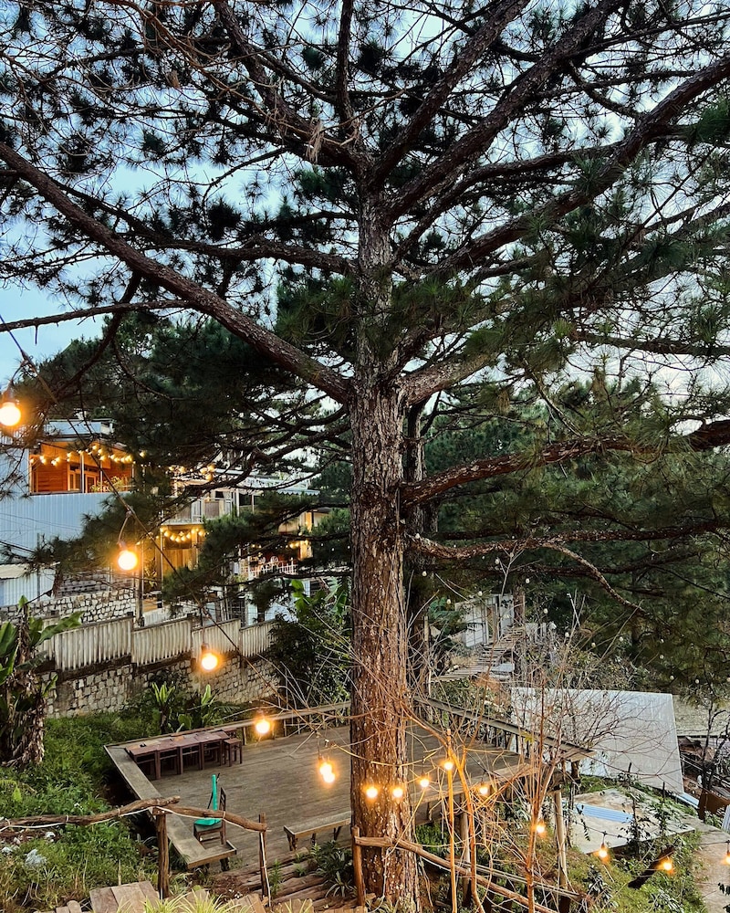 Dong Homestay
