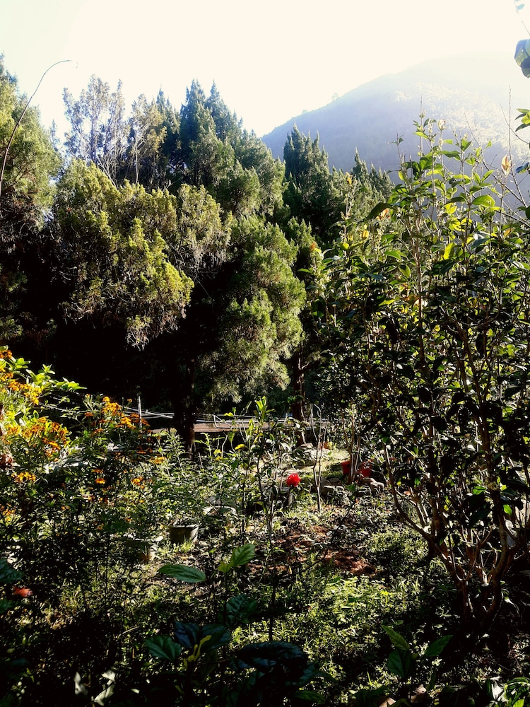 Photo 44
