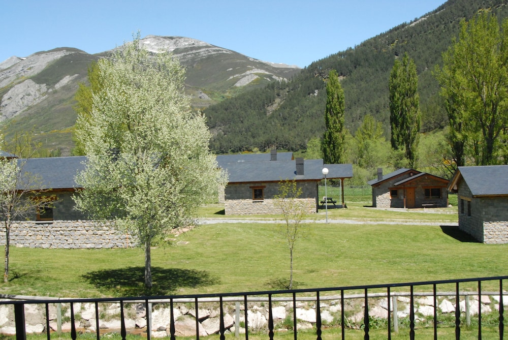 Photo 51