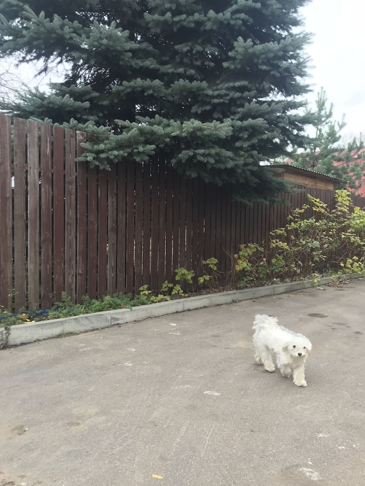 Photo 42