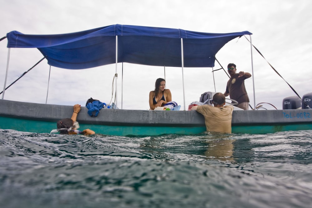 Cotton Tree Lodge