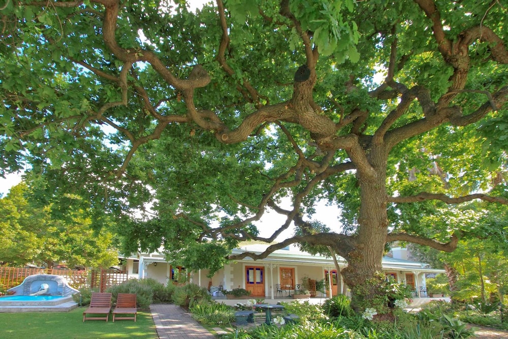 Montagu Vines Guest House