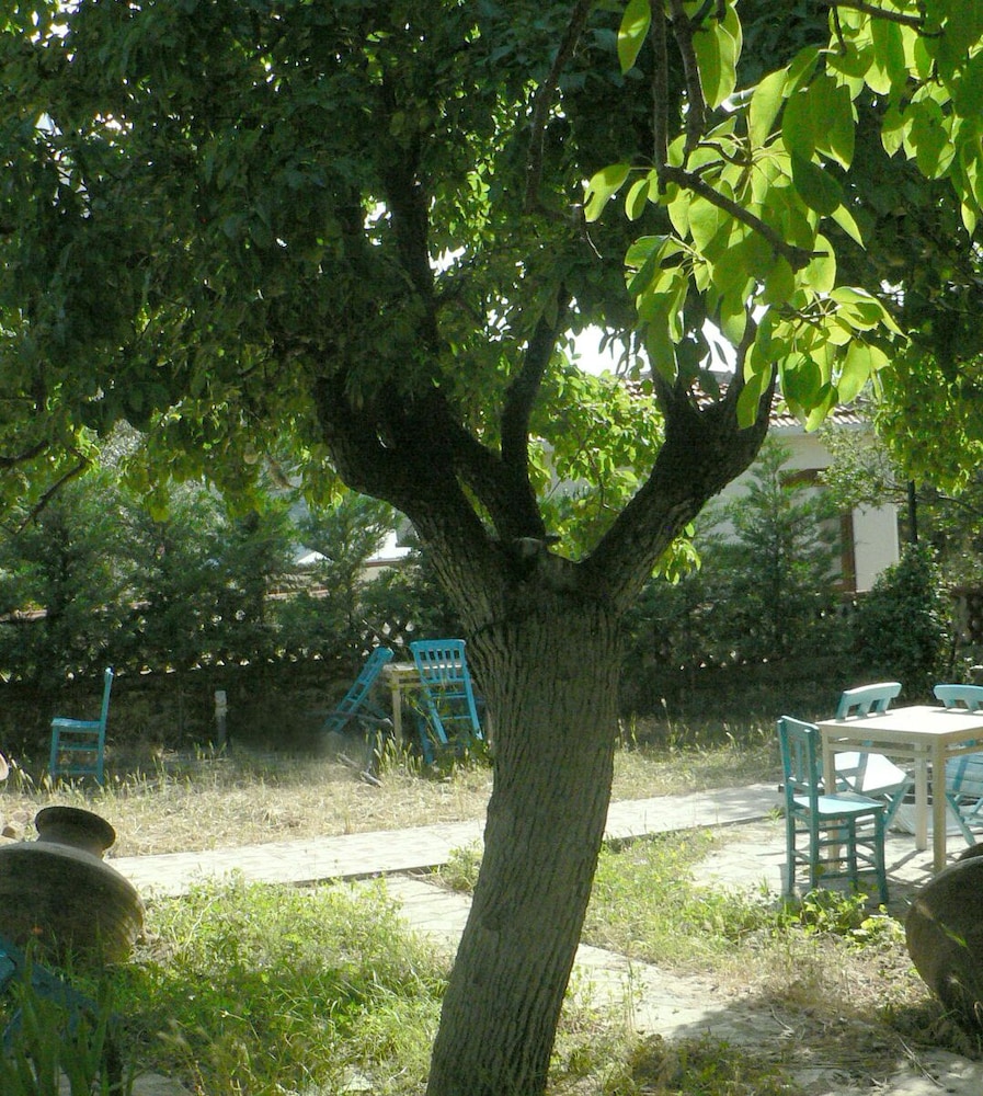 Photo 47