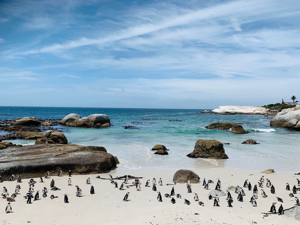 Abington Manor - Fish Hoek Guesthouse