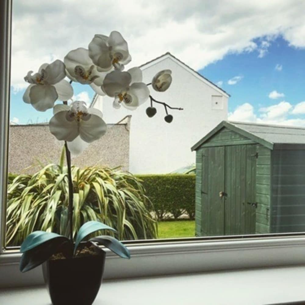 Allanvale Holiday Home - Inverness - Dog Friendly
