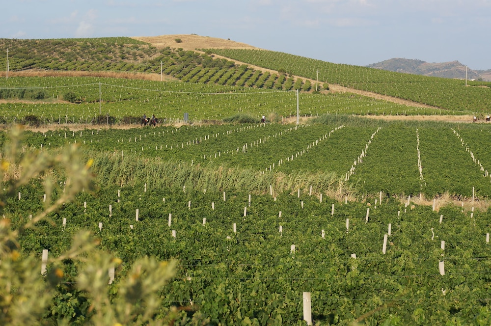Agriturismo Baglio Pocoroba