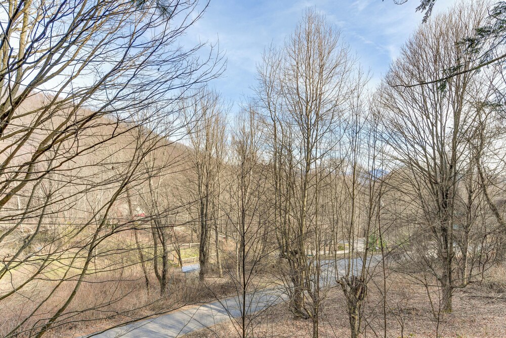 Hot Tub & Mountain Views: Waynesville Retreat!