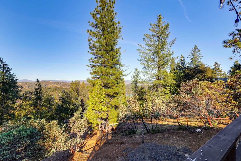 Lake Access, Fire Pit: Scenic Groveland Cottage!